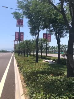 真够拼得超萌高颜值学生妹39℃高温下直接露脸脱光光在马路上跳舞海报剧照