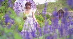 JasmineJ紫色花海的爱-api